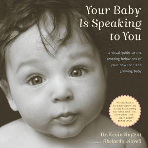 Book cover of Your Baby Is Speaking to You