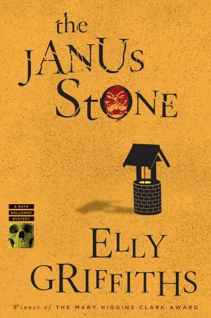 Book cover of The Janus Stone