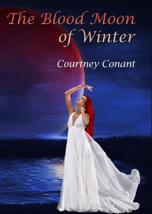Book cover of The Blood Moon of Winter: 2nd Edition