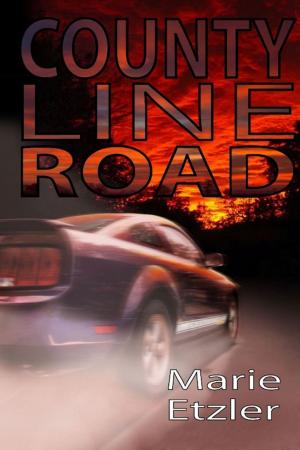 Cover of the book County Line Road by Alex Paul
