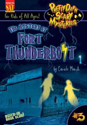 Cover of the book The Mystery at Fort Thunderbolt by Paul Swearingen