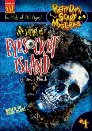 Cover of the book The Secret of Eyesocket Island by Veronika Brazdova