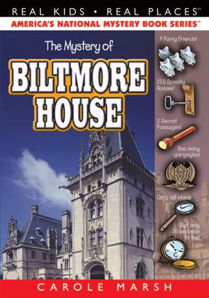 Book cover of The Mystery of Biltmore House