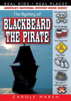Book cover of The Mystery of Blackbeard the Pirate