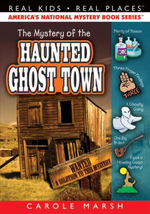 Book cover of The Mystery of the Haunted Ghost Town