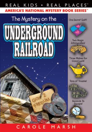Cover of The Mystery on the Underground Railroad