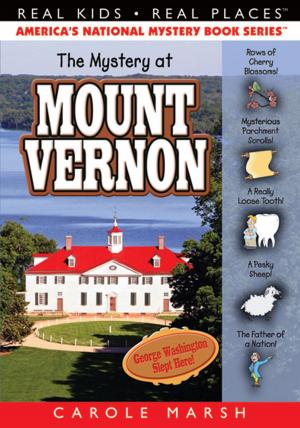 Cover of The Mystery at Mount Vernon
