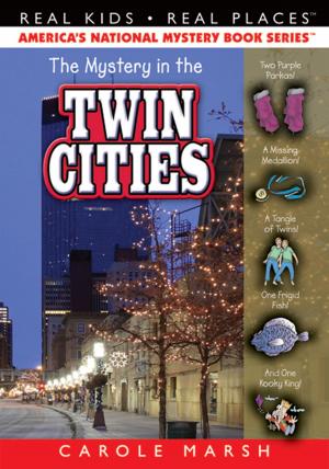 Book cover of The Mystery in the Twin Cities