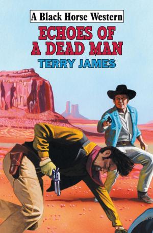 Cover of the book Echoes of a Dead Man by Jack Tregarth