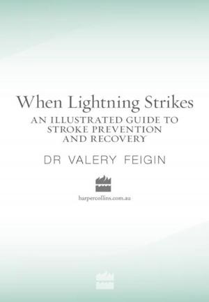 Cover of the book When Lightning Strikes by Alex Flinn