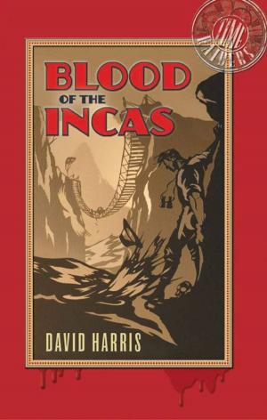 Cover of the book Blood of the Incas by Shannon Lush, Erin Lush
