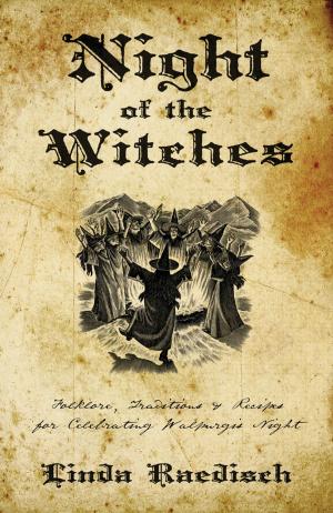 Cover of the book Night of the Witches by Richard Webster