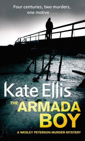 Book cover of The Armada Boy