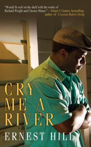 Cover of the book Cry Me A River by Terri DuLong