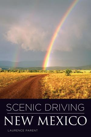 Cover of the book Scenic Driving New Mexico by Patricia A. Martinelli, Charles A. Stansfield Jr.