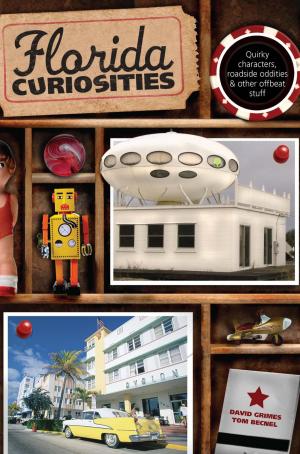 Cover of the book Florida Curiosities by Diana Gleasner, Bill Gleasner