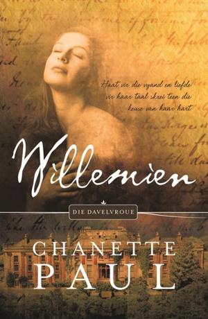 Cover of the book Willemien by Arien Lubbe