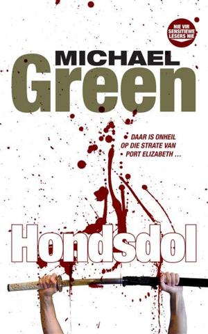 Cover of the book Hondsdol by Scott Hunter