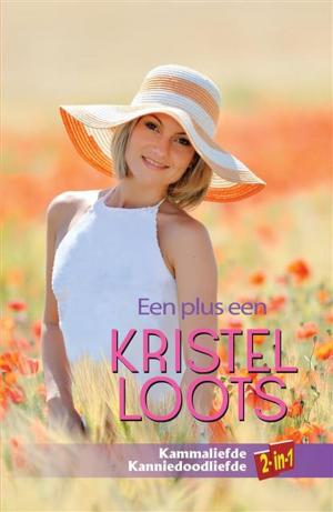 Cover of the book Een plus een by Elsa Drotsky