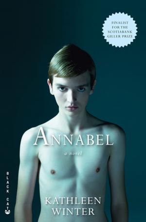 Cover of the book Annabel by Margaret Wrinkle