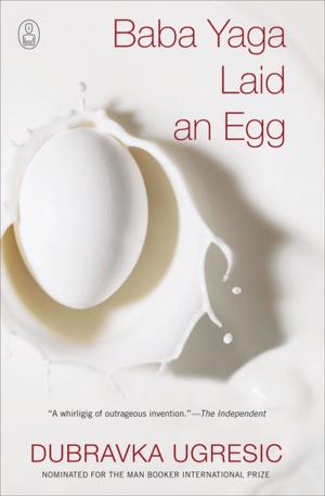 Book cover of Baba Yaga Laid an Egg