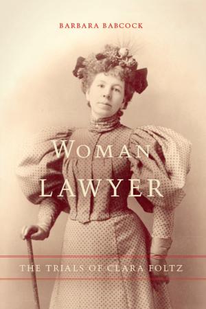 Cover of the book Woman Lawyer by Martijn Konings