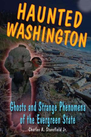 Cover of the book Haunted Washington by Jeff Mitchell