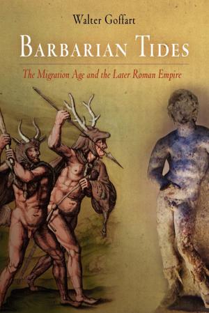 Cover of the book Barbarian Tides by Stephen Orgel