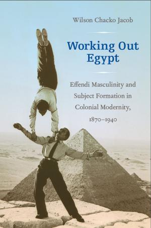 Cover of the book Working Out Egypt by Hamilton Carroll, Donald E. Pease