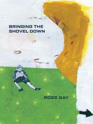Cover of the book Bringing the Shovel Down by Mário de Sá-Carneiro