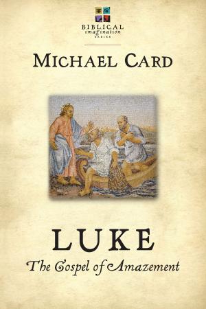 Cover of the book Luke: The Gospel of Amazement by Mike Baker, J. K. Jones, Jim Probst