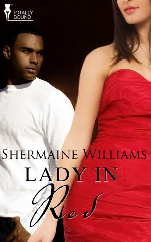 Cover of the book Lady in Red by Faith Ashlin
