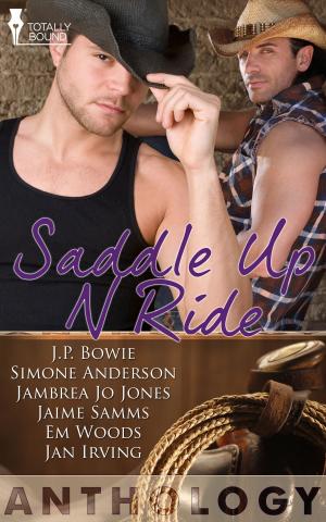 Cover of the book Saddle Up 'N Ride by Victoria Blisse