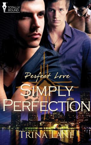 bigCover of the book Simply Perfection by 