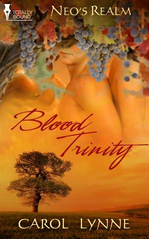 Cover of the book Blood Trinity by Caitlin Ricci