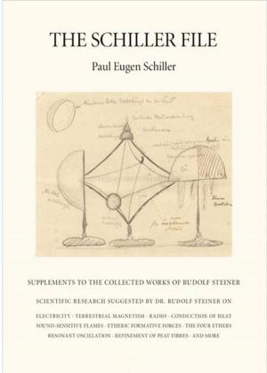 Cover of the book The Schiller File by Rudolf Steiner, Christopher Bamford