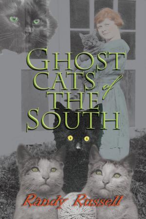 Cover of the book Ghost Cats of the South by Steven Sherrill