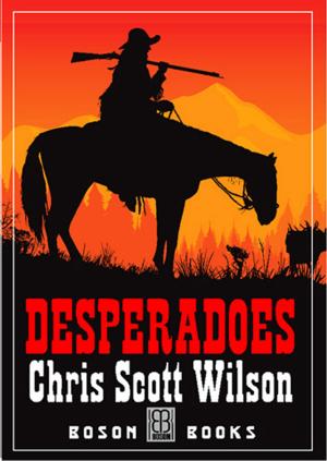 Book cover of Desperadoes