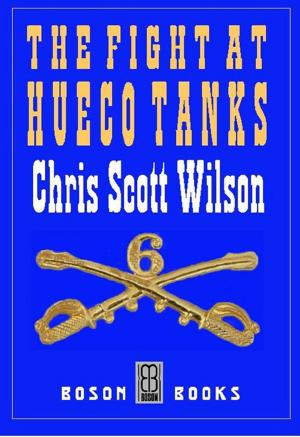 Cover of The Fight at Hueco Tanks