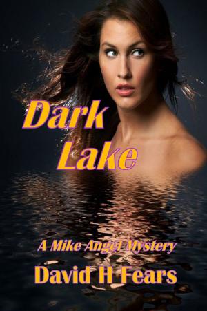 Cover of the book Dark Lake: A Mike Angel Mystery by David Fears