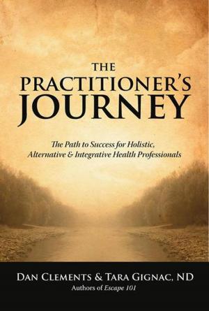 Cover of the book The Practitioner's Journey by Stacey Ritz