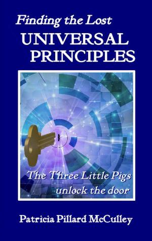 Cover of the book Finding the Lost Universal Principles: The Three Little Pigs unlock the door by Chris Blenning