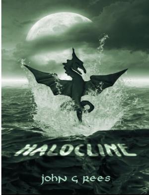 bigCover of the book Halocline by 