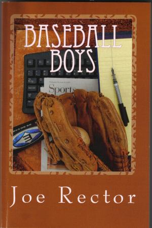 Cover of the book Baseball Boys by Susan Brown