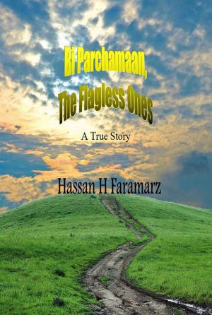 bigCover of the book Bi Parchamaan the Flagless Ones by 