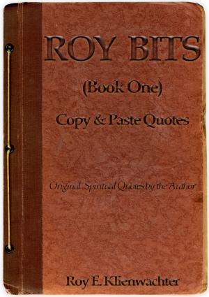 Book cover of Roy Bits (Book One)