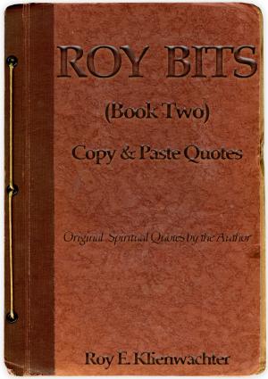 Book cover of Roy Bits (Book Two)