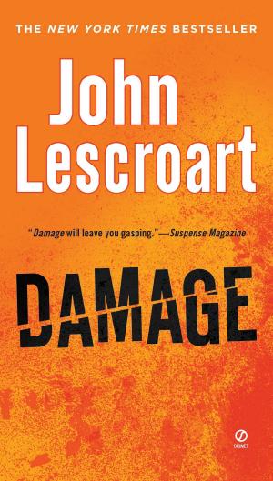 Cover of the book Damage by Jeanne Mackin