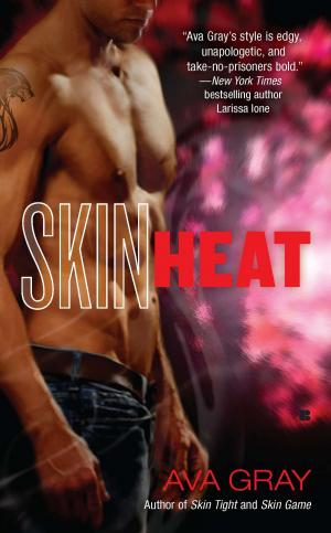 Cover of the book Skin Heat by Barbara Hamilton