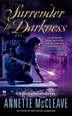 Cover of the book Surrender to Darkness by Steven Harper